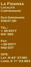 Our Address and Phone Numbers: Contact Us