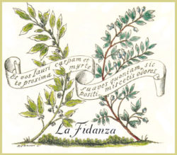 logo_la_fidanza-oro