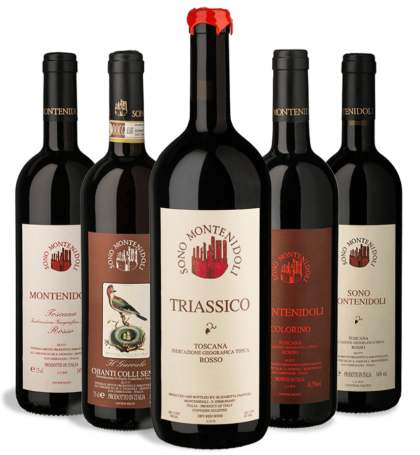 Montenidoli Vernaccia San Gimignano whites wine producer and red Sangiovese